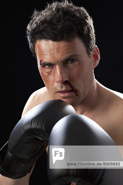 Portrait eines Boxers