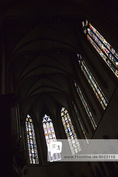 Stained glass windows inside of Saint Martin church  Colmar  France
