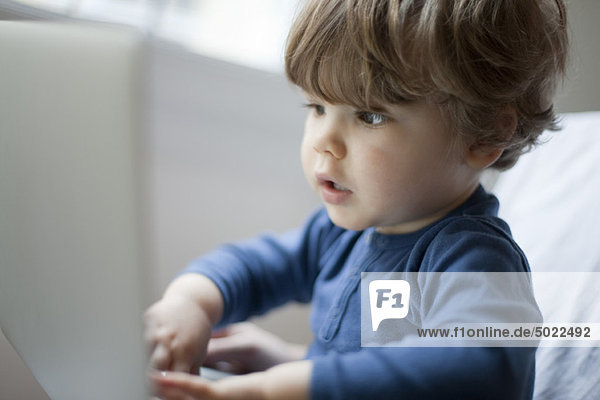 Toddler boy playing with laptop computer  portrait