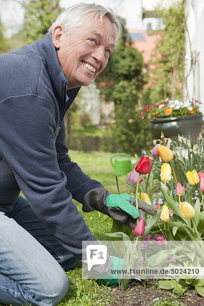 Älterer Mann beim Blumenschneiden im Garten