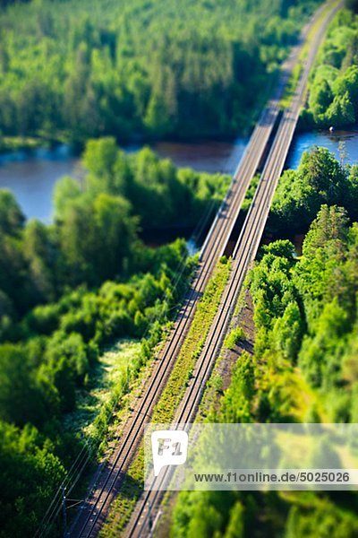 Railroad durch Wald