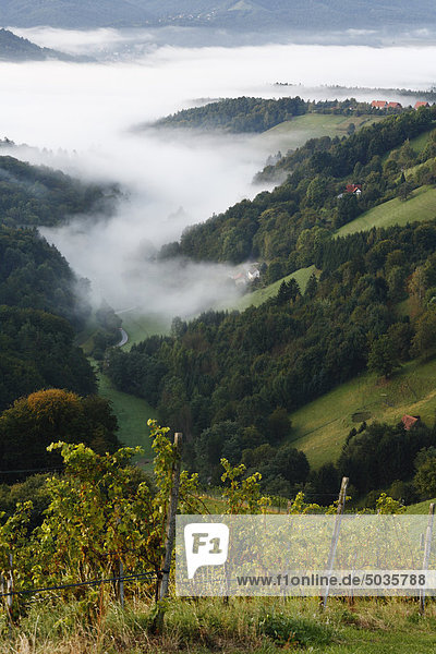 Österreich  Steiermark  Blick auf den Berg im Nebel