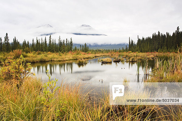Herbstfarben der Vermillion Seen  umhüllt Kaskadenkette Cloud. Banff-Nationalpark  Alberta  Kanada.
