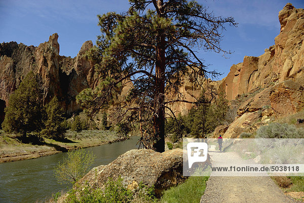 Cyclist on trail beside the Crooked River  Smith Rock State Park  Oregon  USA