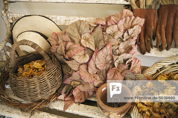Leaves with flowers and basket on a bench