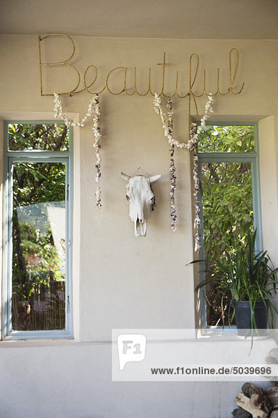 Goat skull mounted on a wall