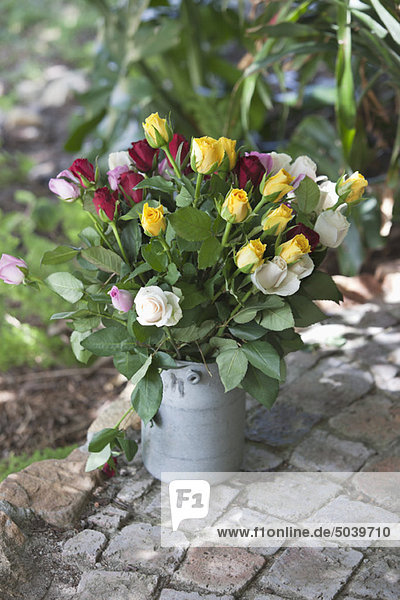 Close-up of multi-colored roses