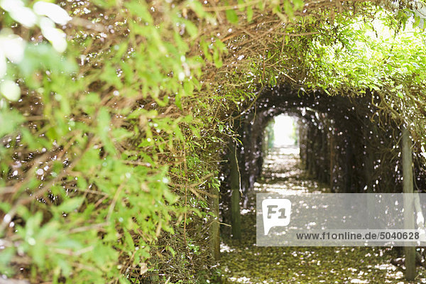 Narrow path passing through a tunnel