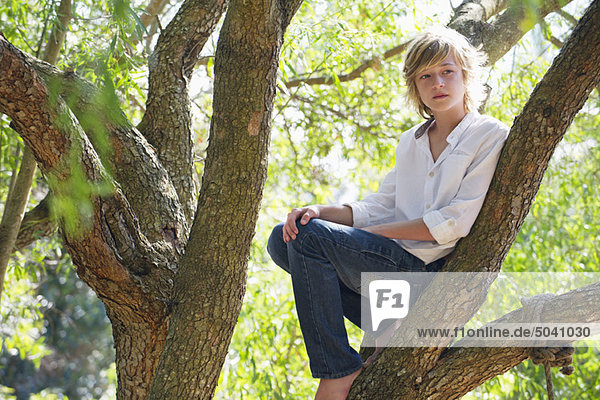 Contemplative little boy crouching on tree branch