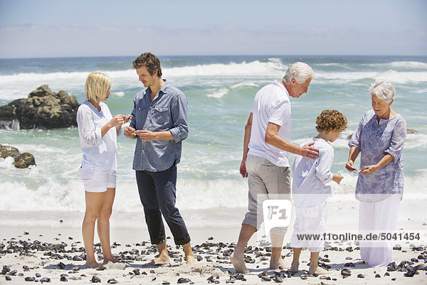 Multi generation family collecting shell on the beach