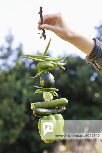 Woman's hand holding vegetables hanging on twig