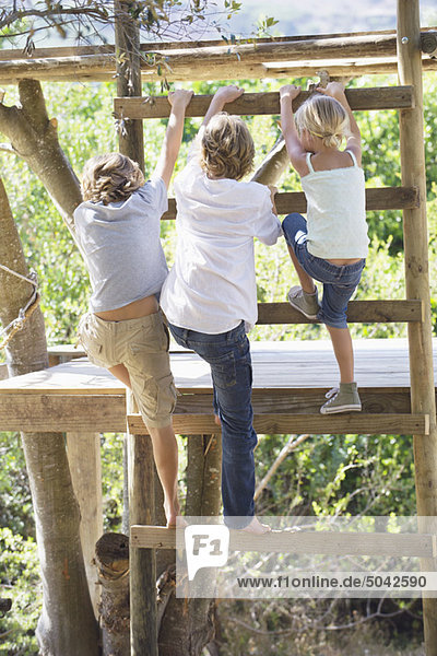 Rückansicht der Kinder beim Aufstieg auf Leitern zum Baumhaus