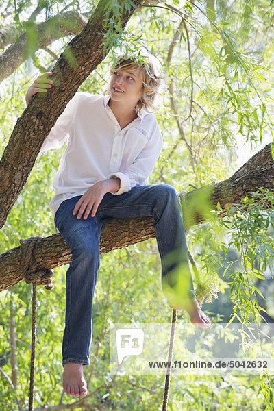 Happy little boy sitting on tree branch