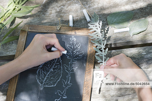 Little boy making drawing of leaves on slate outdoors