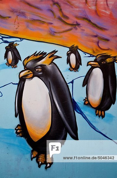 Wärme  Erde  Horizont  Bedrohung  Eis  Christchurch  Graffiti  Pinguin  Street-Art  Straßenkunst