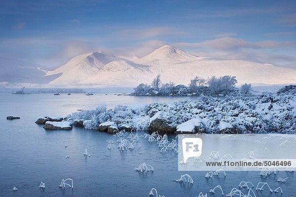 Winter  Highlands  Schottland