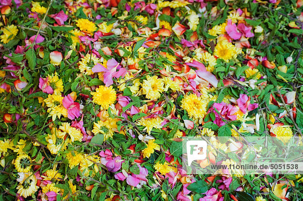 Assortierte Blumen für Verkauf im Markt  Mysore  Karnataka