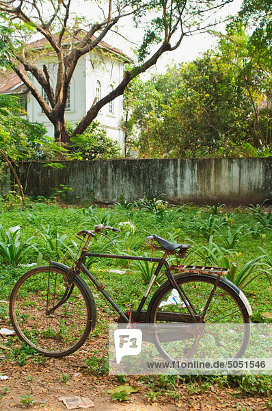 Fahrrad  Fort Cochin  Kerala
