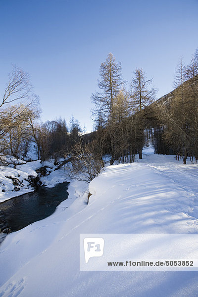 Schneelandschaft