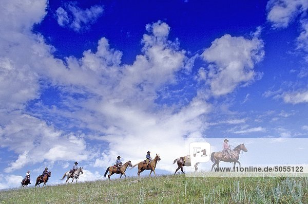 Cowboys on horses trail riding in the Cariboo region of British Columbia  Canada
