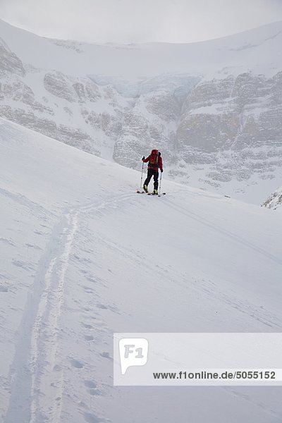 A skier uptracking on the Wapta Icefields  Banff National Park  Alberta  Canada