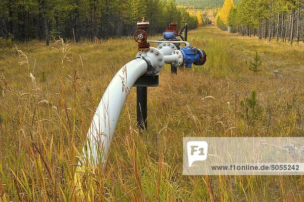 Eine süße Erdgas Pipeling steigt aus u-Bahn Oberfläche abschalten Ventile auf einem bewaldeten ländlichen Pipeline noch jetzt in ländlichen Alberta Kanada Zugriff auf