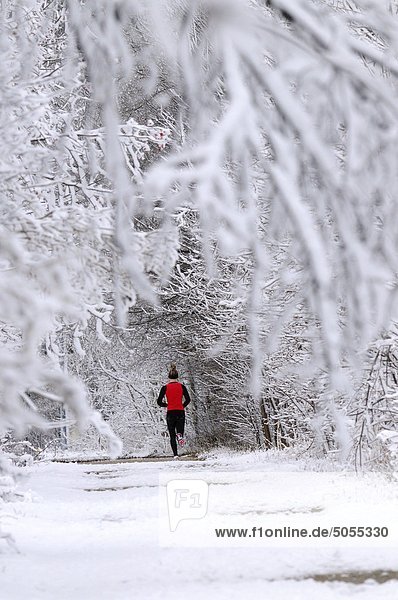 Jogger in rotes Hemd Joggen entlang ein Weg nach einem schweren Schnee. Fergus  Ontario  Kanada