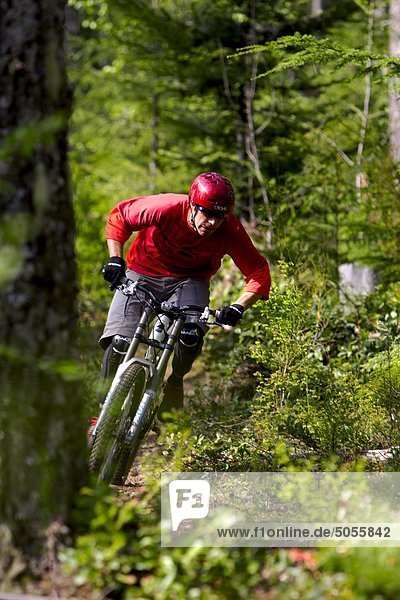 mountain bike  Whistler  BC  Canada