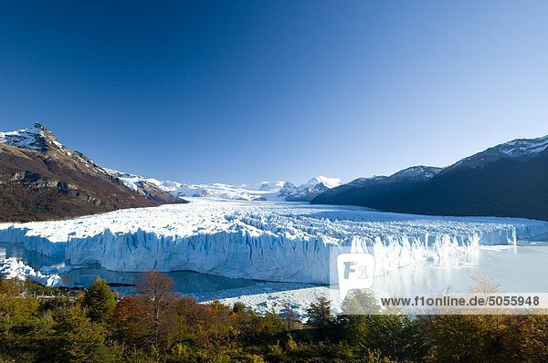 The Perito Moreno Glacier in autumn  calves into the waters of Lago Argentina  Parque Nacional Los Glacieres  Argentina