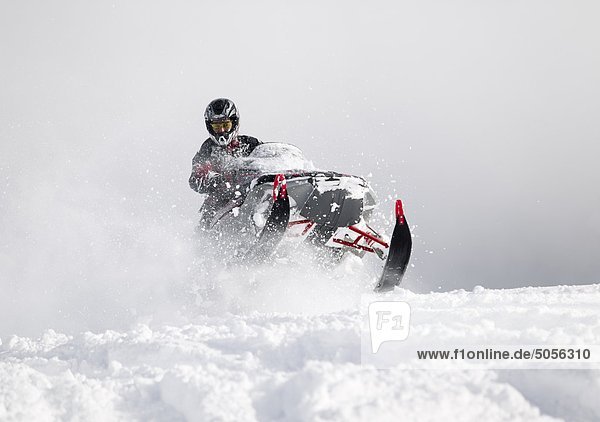 Fresh and deep powder greets this snowmobiler punching through snowdrifts in the mountains north of Campbell River. Campbell RIver  Vancouver Island  British Columbia  Canada.