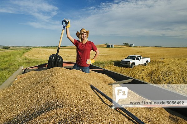 a girl holding a shovel  looks out from the back of a grain truck loaded with wheat  Tiger Hills  Manitoba  Canada