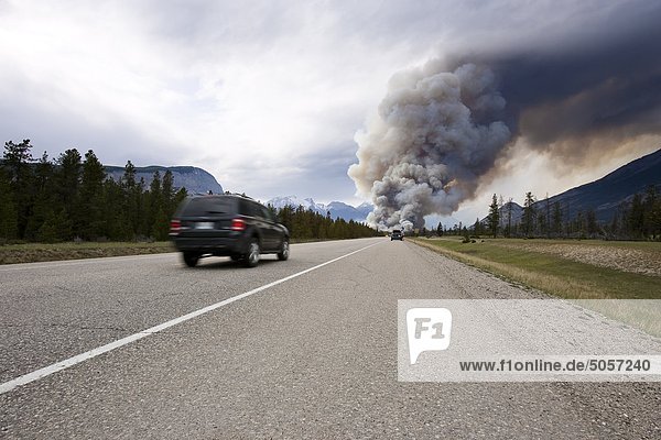 Forest fire visible from highway road in Jasper National Park  Canada