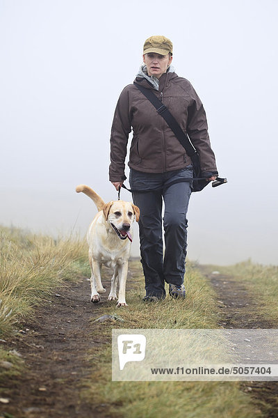 Woman walking her Yellow Labrador Retriever dog on a rainy  foggy day. Nose Hill Park  Calgary  Alberta  Canada.
