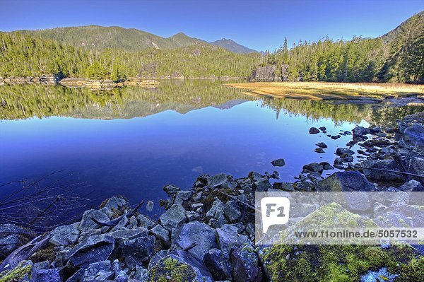Berg- und Wald Landschaft Nachdenken über die Wasseroberfläche Tofino Inlet  Wechselzone des Clayoquot Sound UNESCO Biosphärenreservat  Vancouver Island  British Columbia  Kanada.