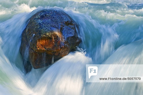 Water from the mighty Athabasca River rushing over a boulder on edge of Sunwapta Falls  Jasper National Park  Alberta  Canada.