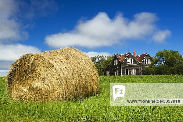 Hay bale and old house  near Notre Dame de Lourdes  Manitoba  Canada