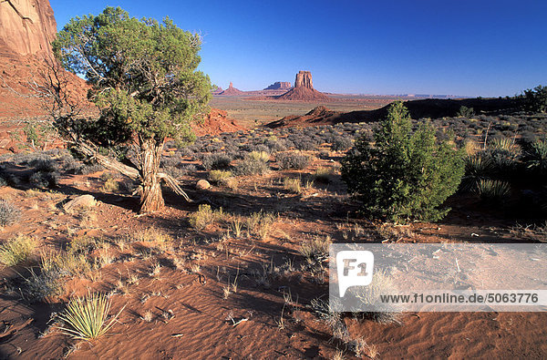 USA Arizona Denkmal-Senke