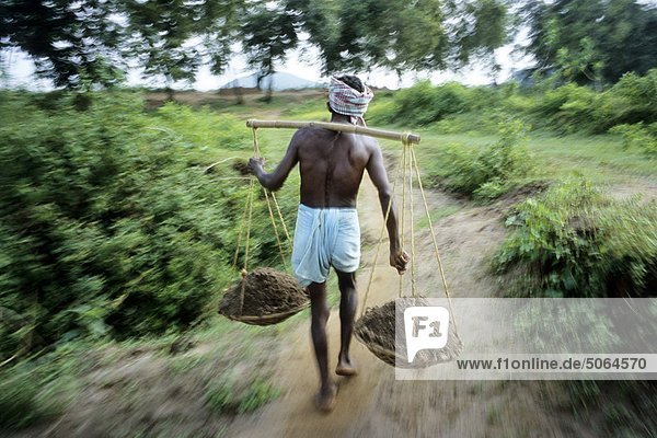 Indien  Orissa  Farmer auf Feld