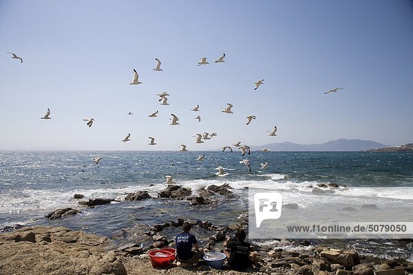Kykladen Griechenland Mykonos