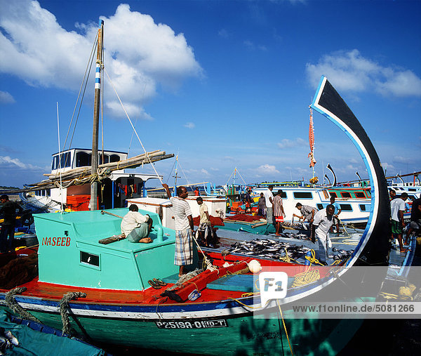 Malediven  Mann  Hafen mit Fischerbooten