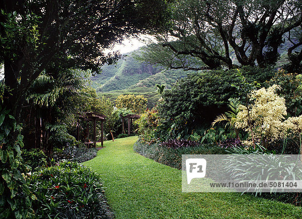 Lyon Arboretum  Honolulu  Hawaii  USA