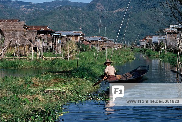Floating gardens and boats  Inle lake  Shan State.Burma