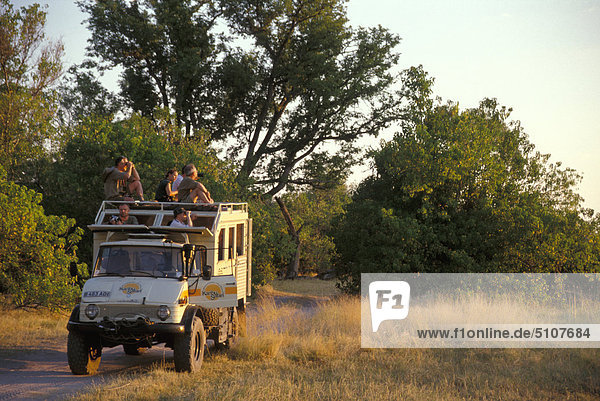 Botswana  Moremi Game Reserve