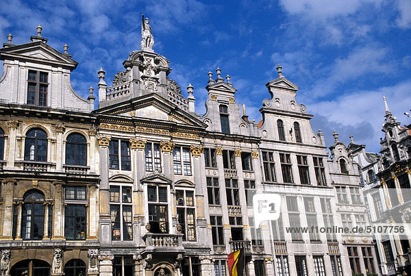 Belgien  Brüssel  Le Grand Place. Le Pigeon