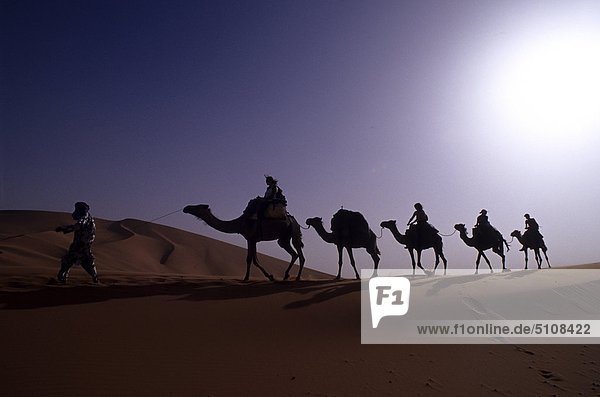 Marokko  Sahara-Wüste  Merzouga-Dünen