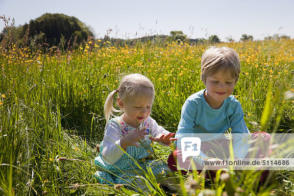 Children sitting in field of flowers