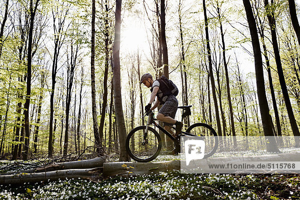 Mountain biker on fallen tree