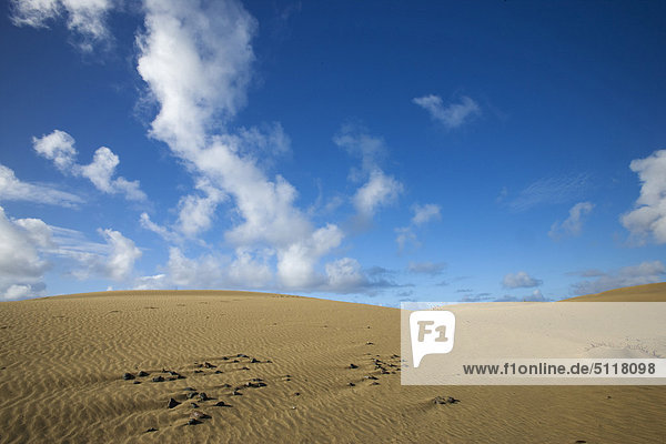 Spanien  Kanarische Inseln  Grand Canary  Maspalomas  Sanddünen