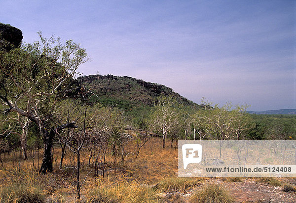 Australia  Northern Territory  Kakadu-Nationalpark