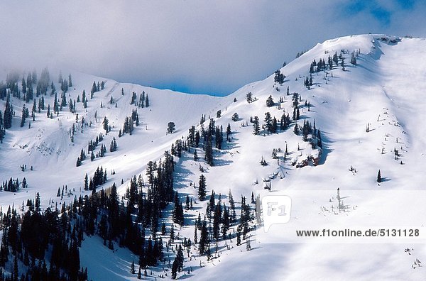 Vereinigte Staaten von Amerika  USA  Berg  Winter  Wolke  über  Wasatch Range  Utah
